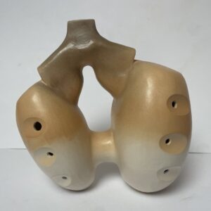 ocarina doppia camera
