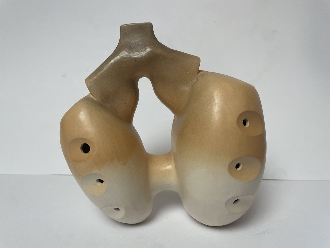 ocarina doppia camera