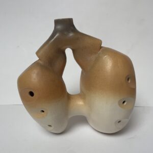 ocarina armonica doppia camera