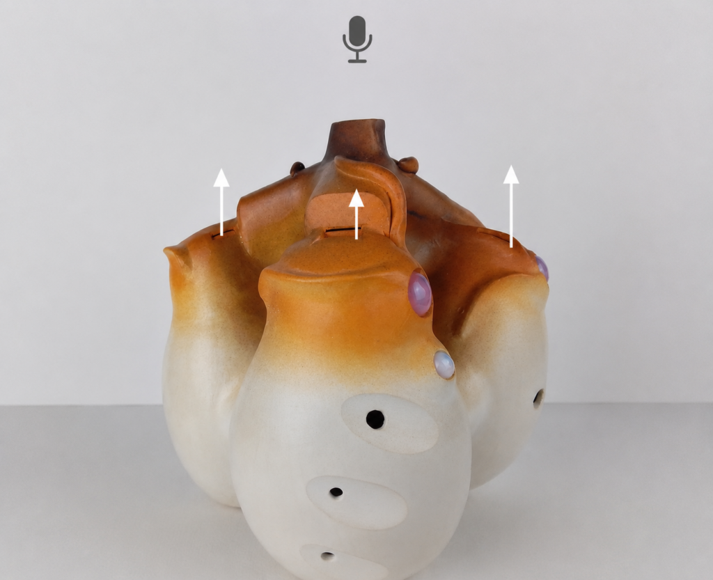huaca con segnata la direzione del suono